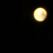 Blue Moon