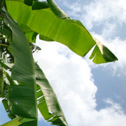 DSC00164