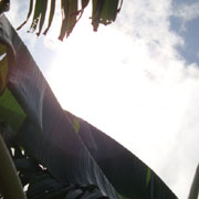 DSC00157