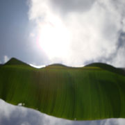 DSC00162