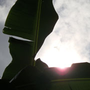 DSC00160