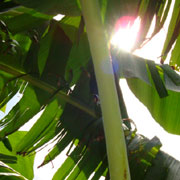 DSC00158