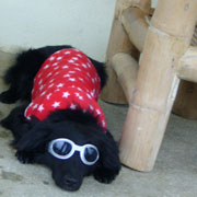 Ȃ񂩂ƈႤȁ`